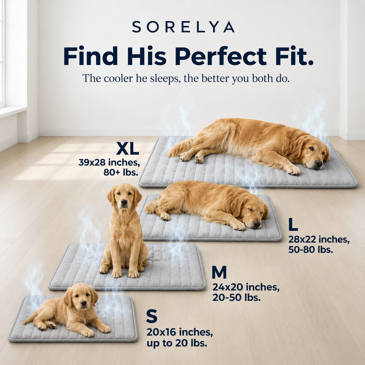Sorelya ChillNest