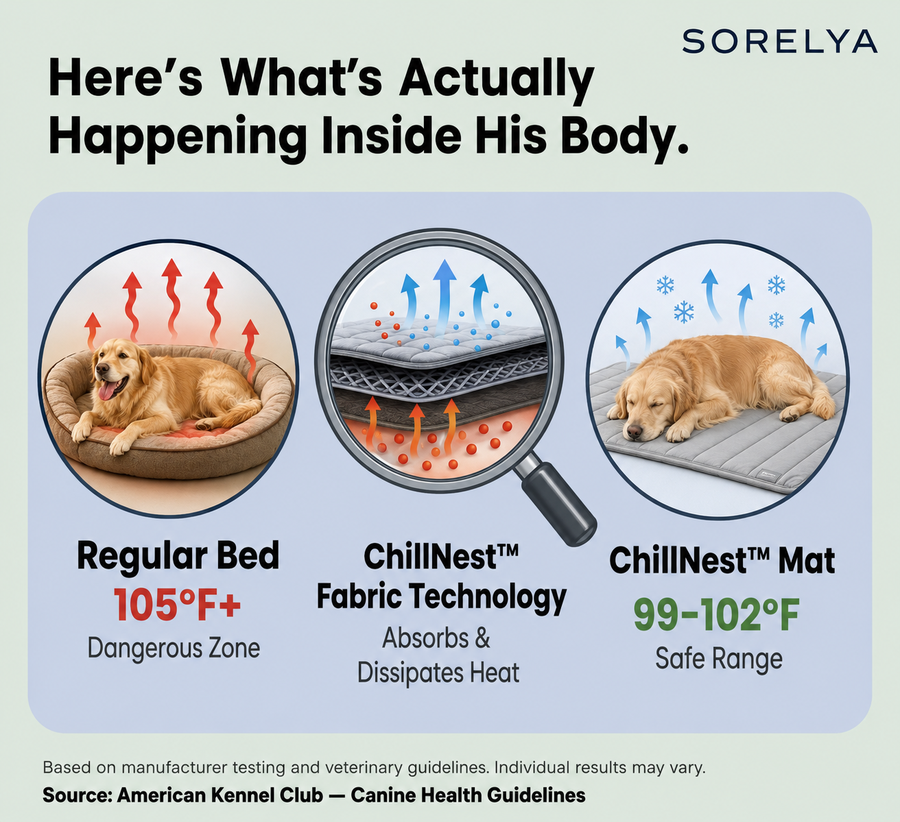 Sorelya ChillNest