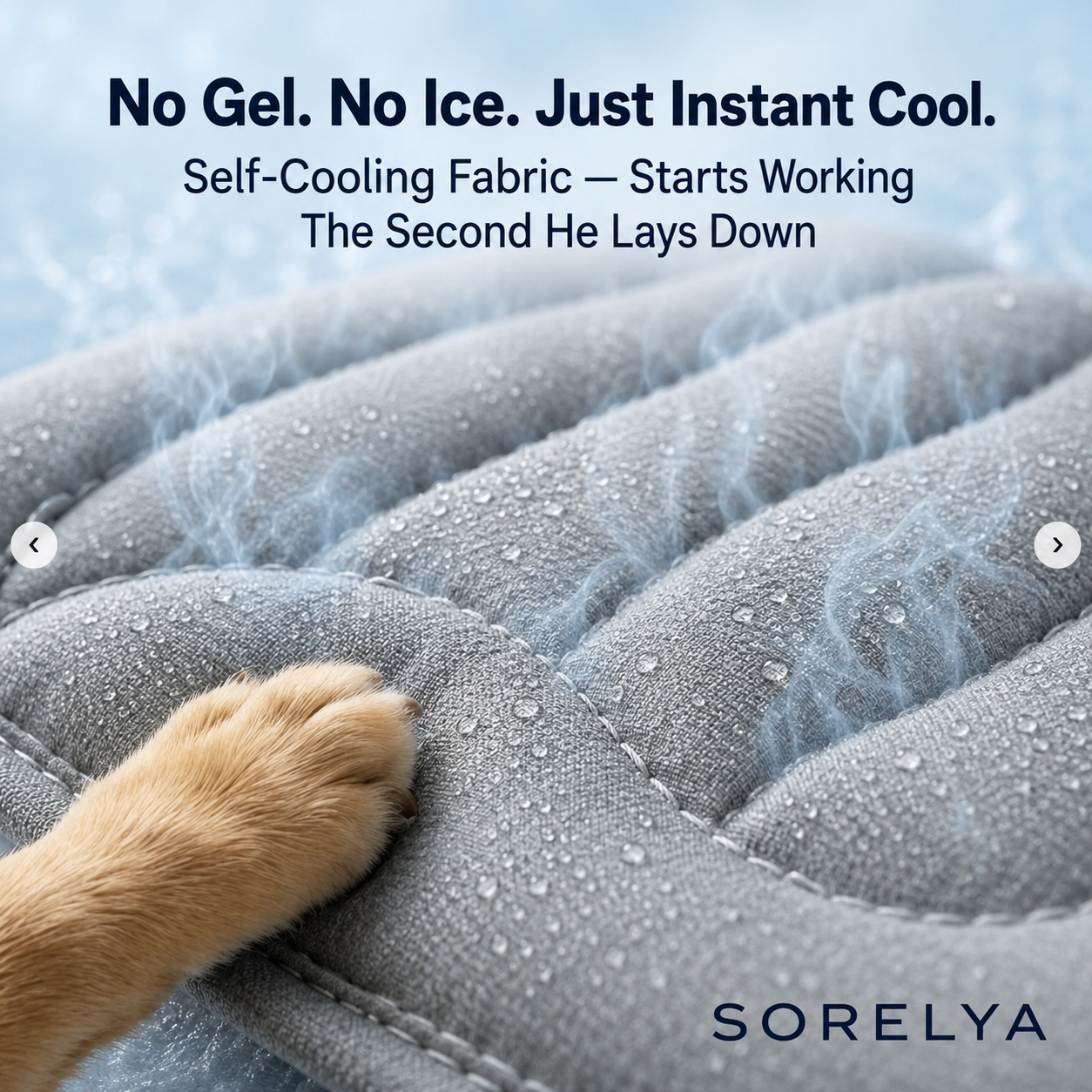 Sorelya ChillNest