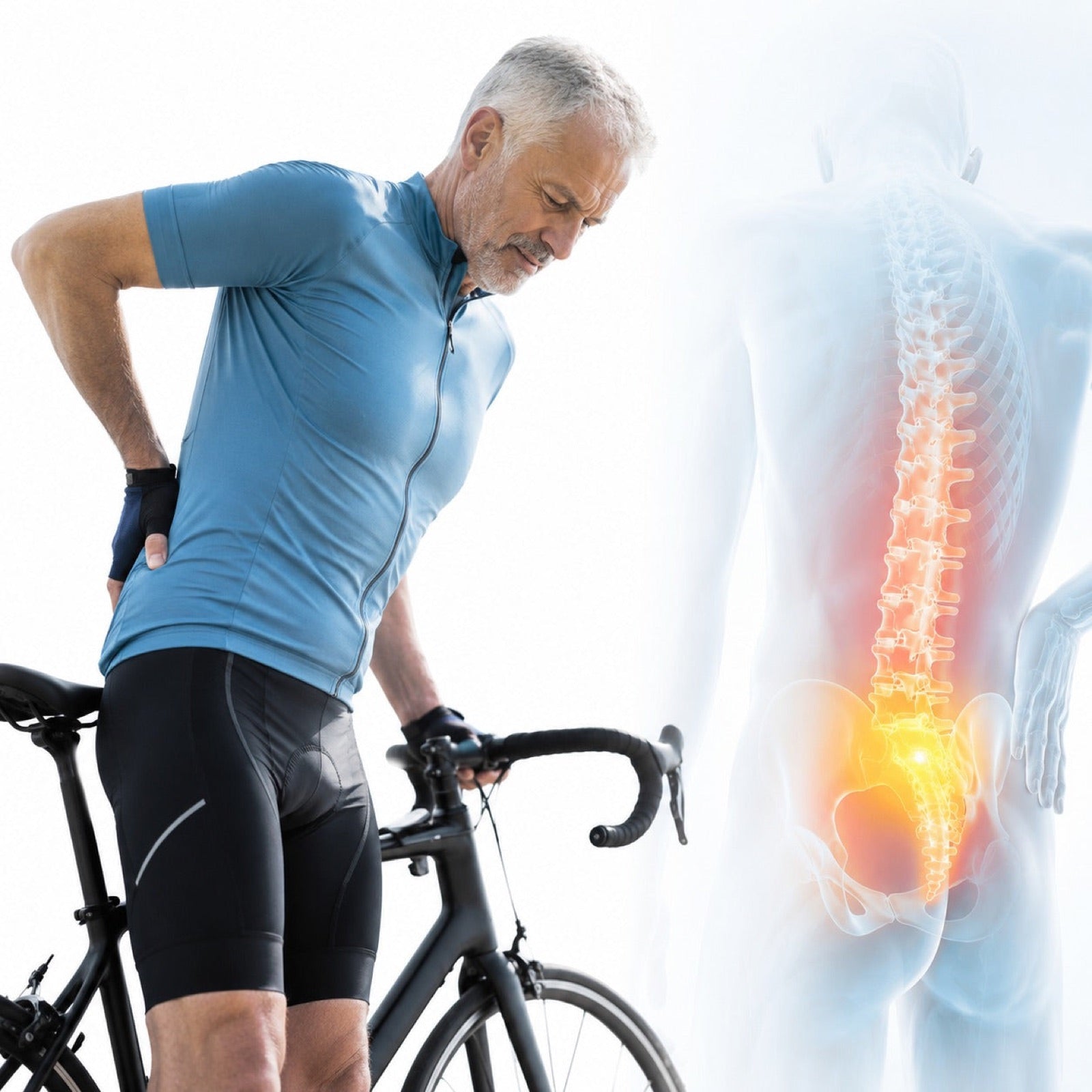 Druckverteilung auf einem Sorelya Sattel